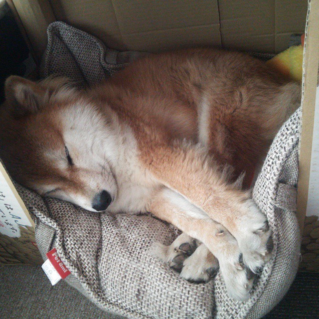 北伦敦帕尔默奏响铁血，罗马城蓝鹰撕裂神话，硬仗时代的非典型协奏曲