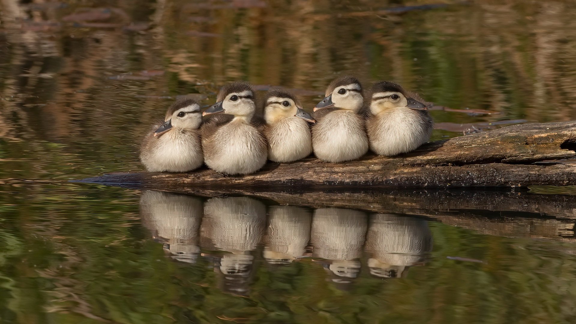开云体育中国-同一晚，两场压制，两种足球哲学