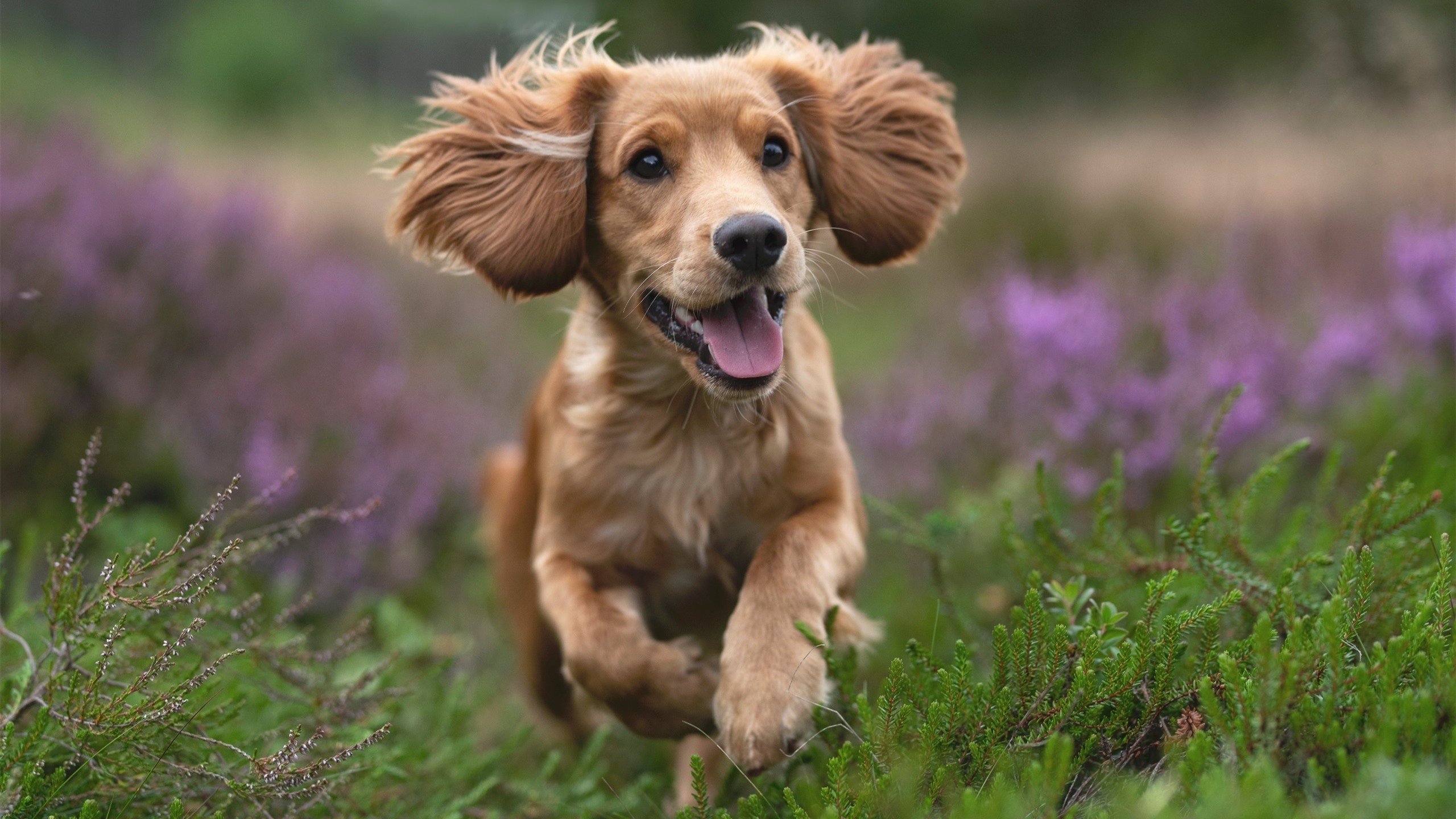 巴萨慈善赛对阵伊拉克,客串10号莫德里奇赛后评分拉满,一场跨越战争与足球的梦幻聚会