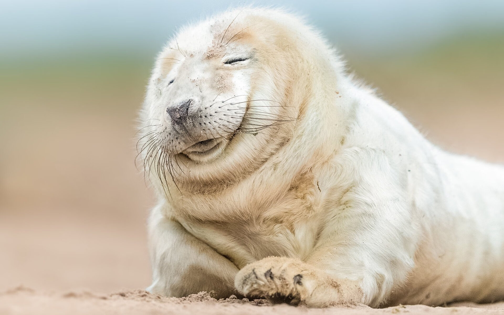 绝杀交响曲,拉什福德一锤定音,尼日利亚上演黑色闪电