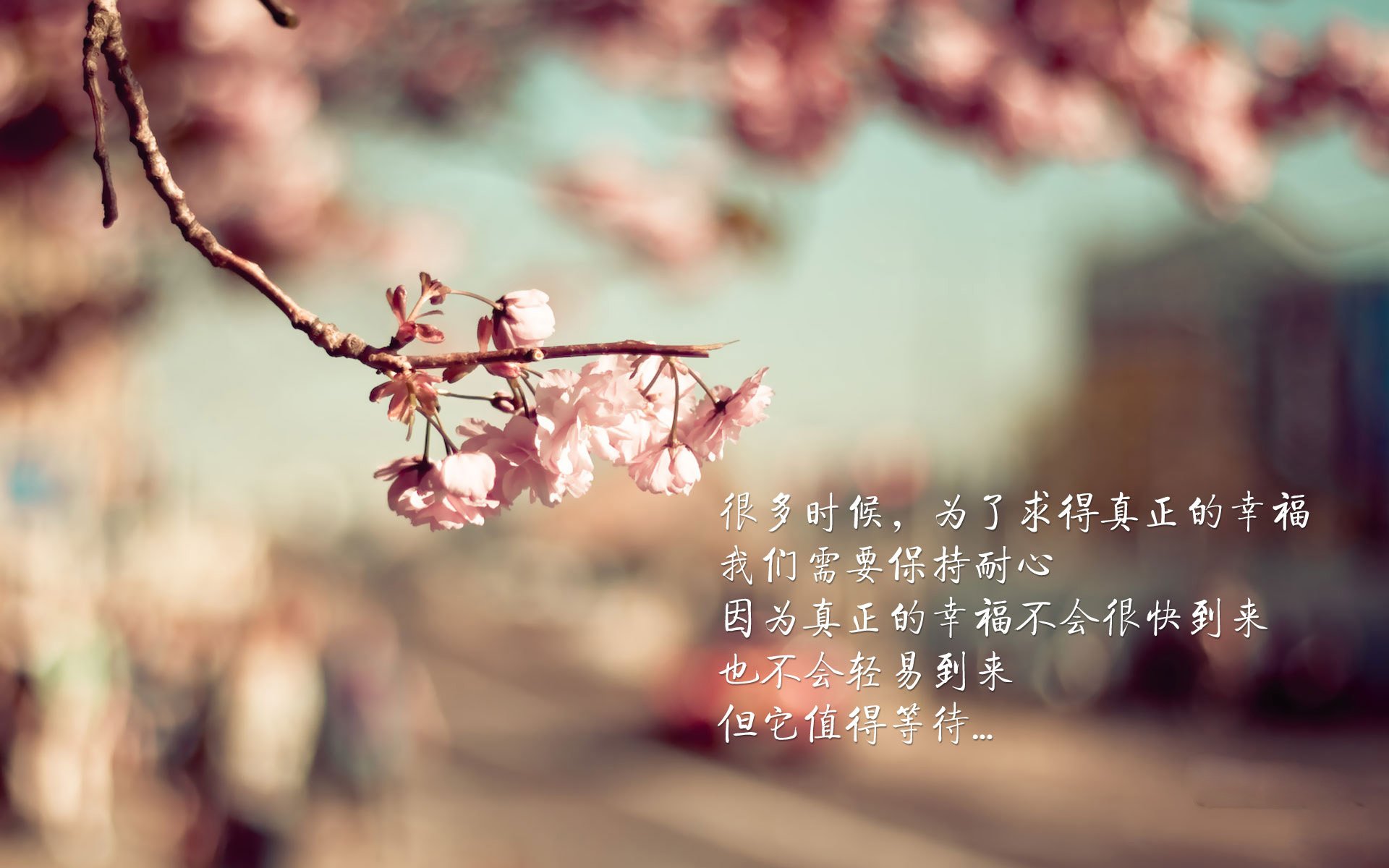 跨界施压，澳大利亚如何强压皇马，李刚仁成为关键先生