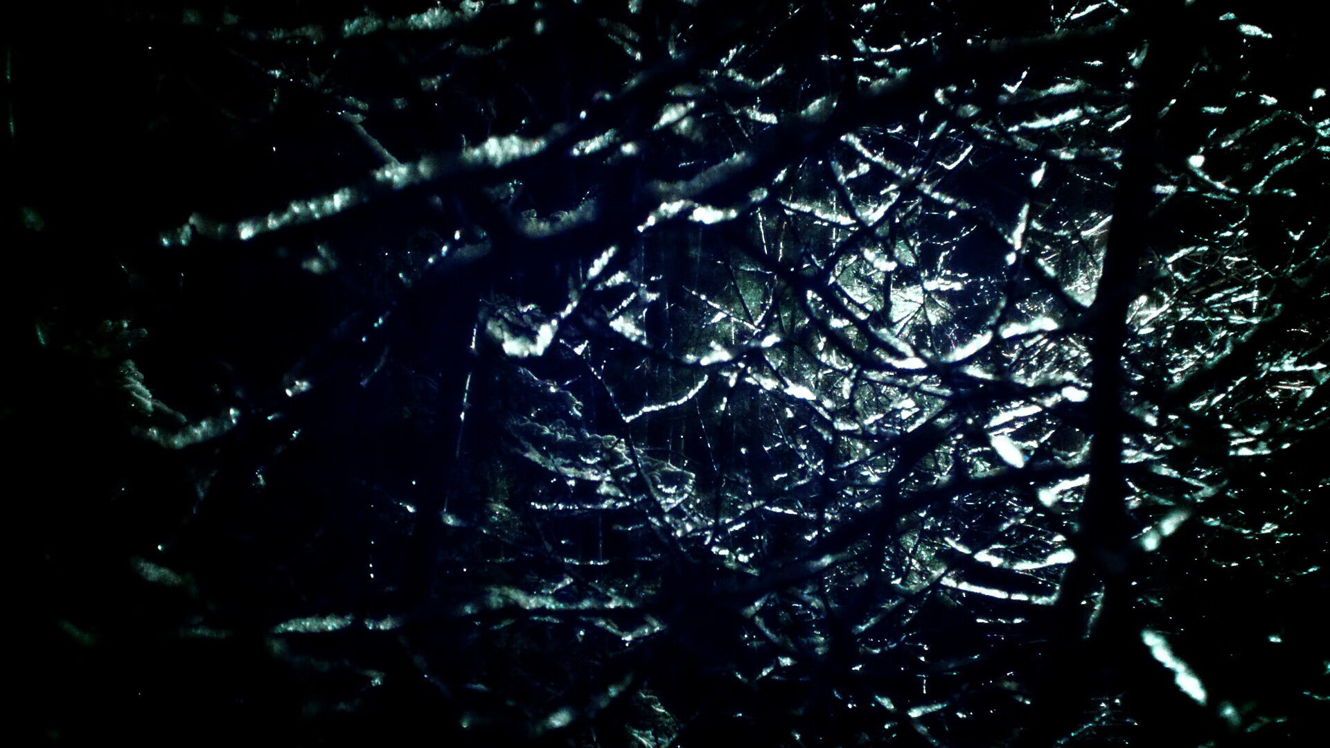 43分背后的无名对话,西亚卡姆与约基奇的更衣室密语