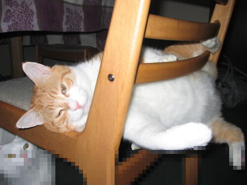 火箭德甲式引擎轰鸣 哈登单节接管汽车城