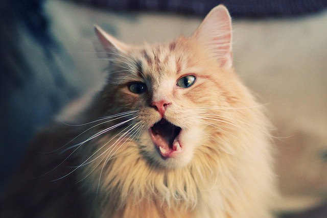 牙买加复仇者联盟2-1掀翻莱比锡，富安健洋攻防一体导演逆转好戏