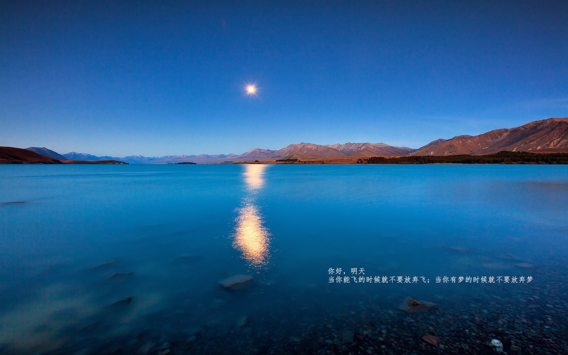 开云体育平台APP-哈兰德爆发助挪威大捷，威尔士防守锁死荷兰—欧洲足坛的双重震撼