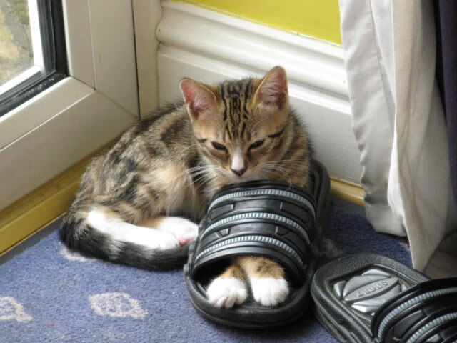 欧冠半决赛之夜，当群山倾倒，一座独峰升起