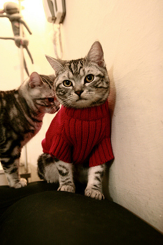 开云体育官网-足球场上的新凡尔赛条约，加克波在西甲国家德比接管比赛