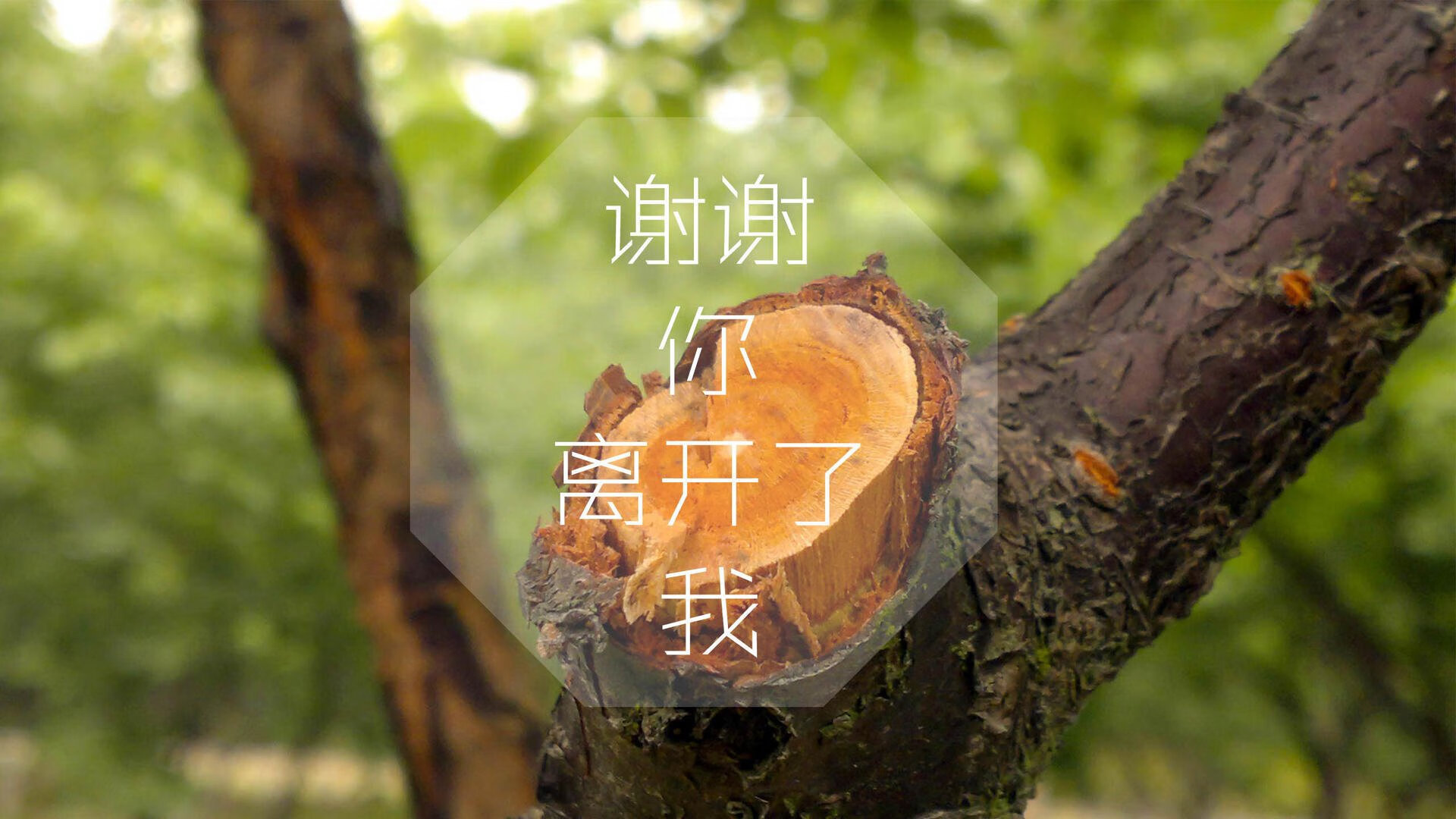 魔幻之夜，2026世界杯F组生死战，智利铁血压制匈牙利，梅西封神演绎门神悲壮