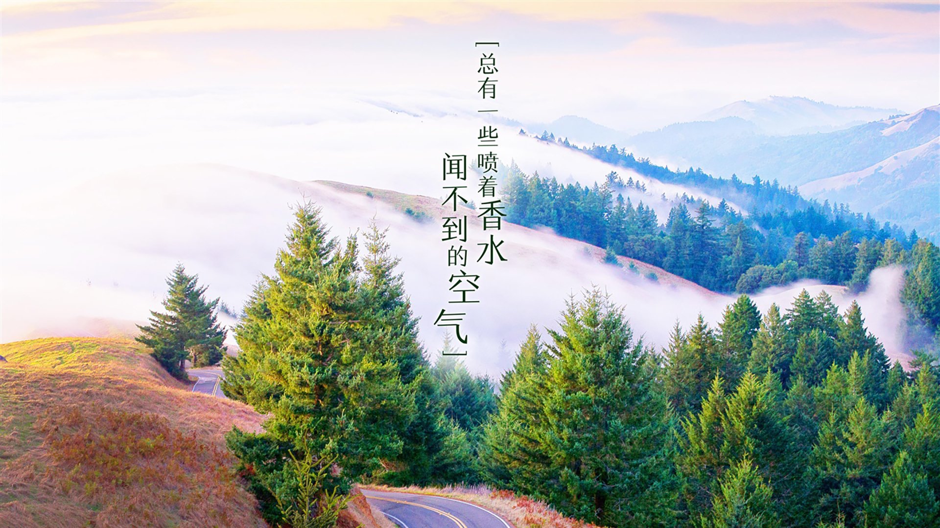 开云体育官网-沙漠风暴席卷绿茵，当魔笛为乌拉圭奏响挽歌—2026世界杯F组，伊拉克奇袭与莫德里奇的另一种伟大