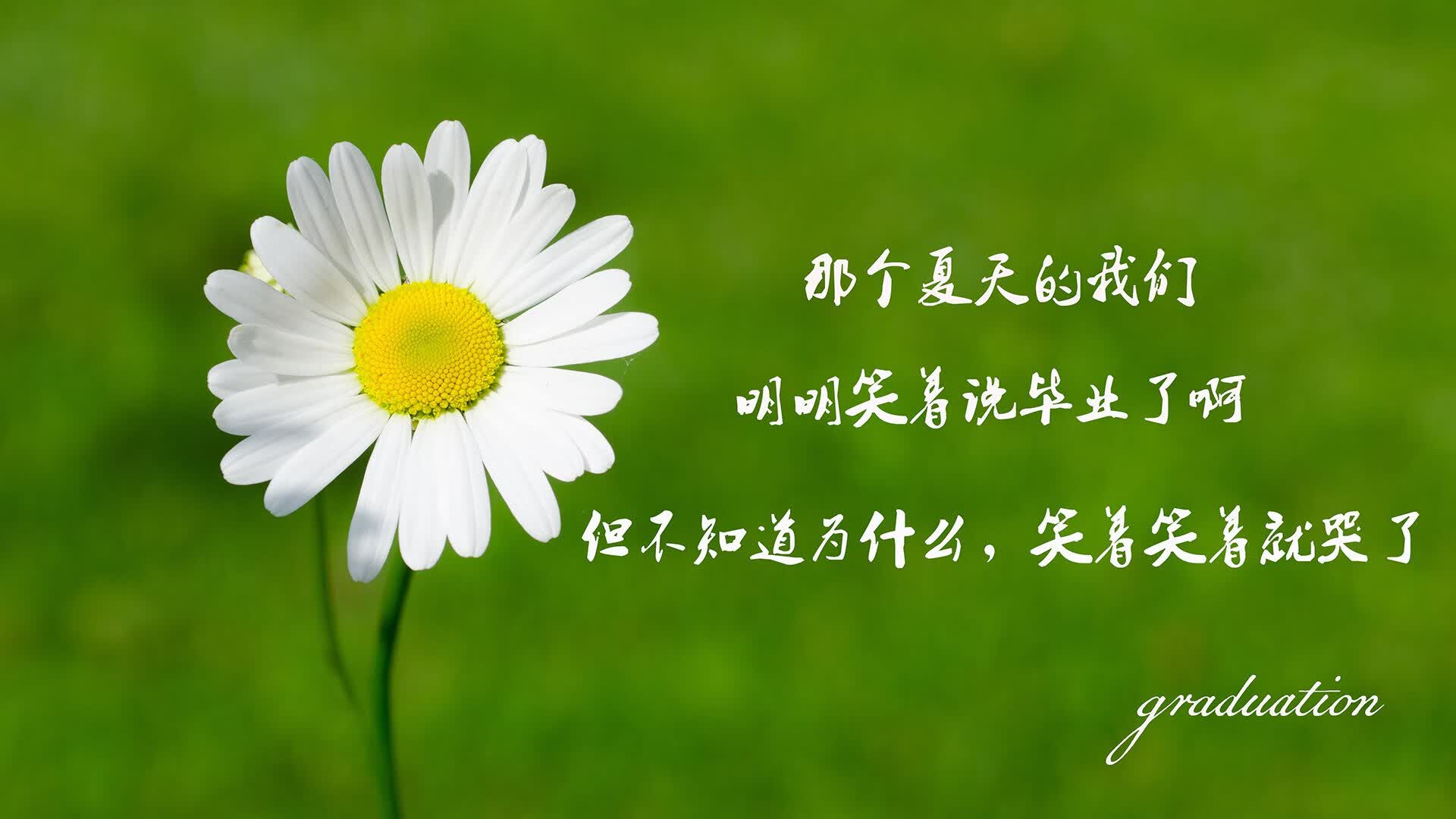 开云体育app-美索不达米亚的指挥家，当节奏掌控让德国战车臣服于塔雷米的致命一击